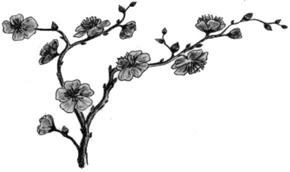 Folder 1 - 0020-1.jpg