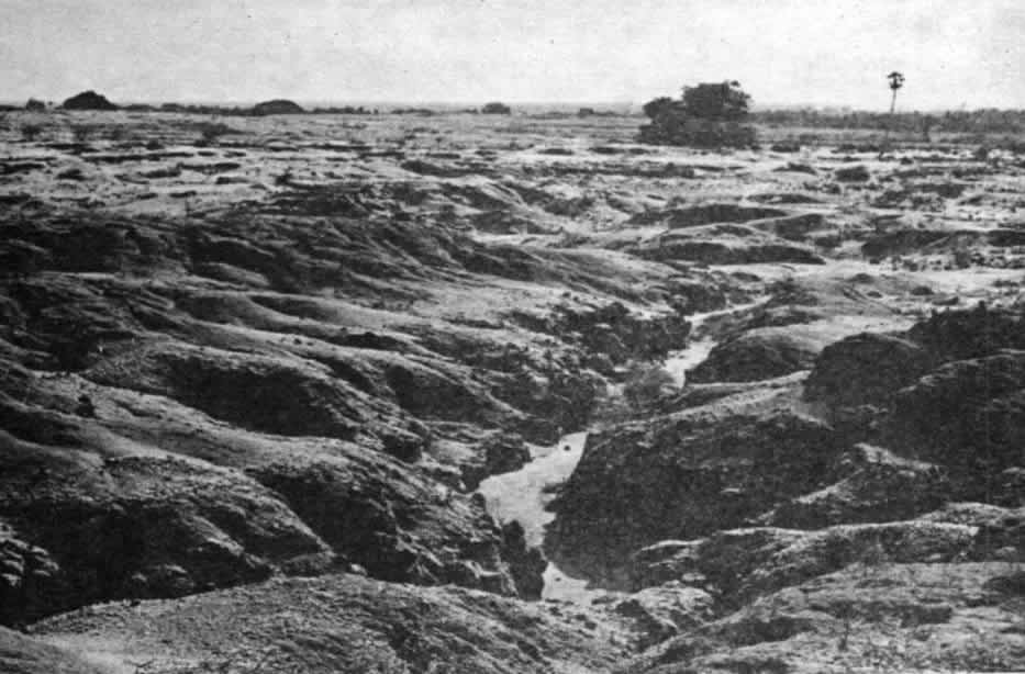 Folder 1 - 0088-1.jpg