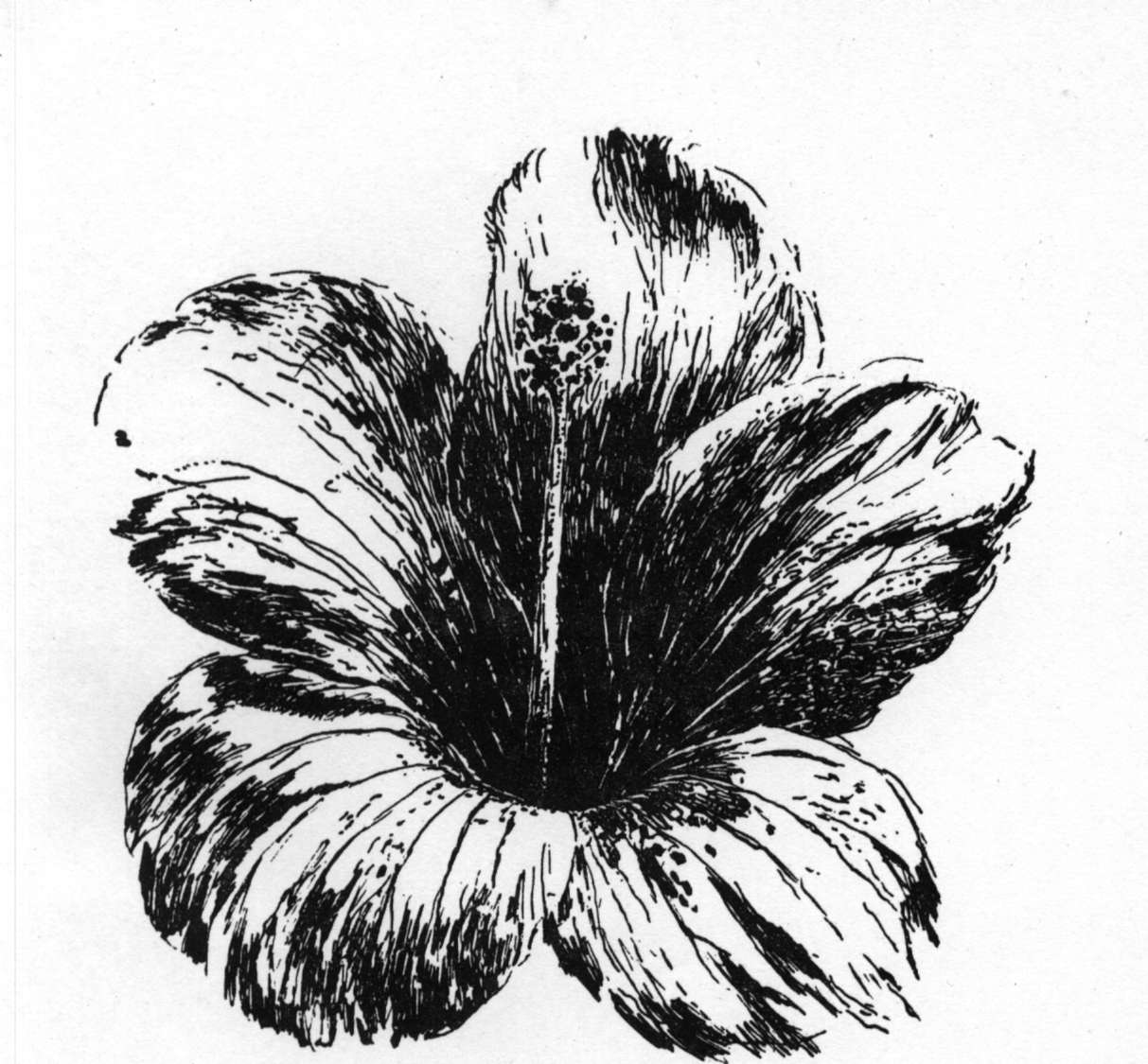 The Auroville Flower