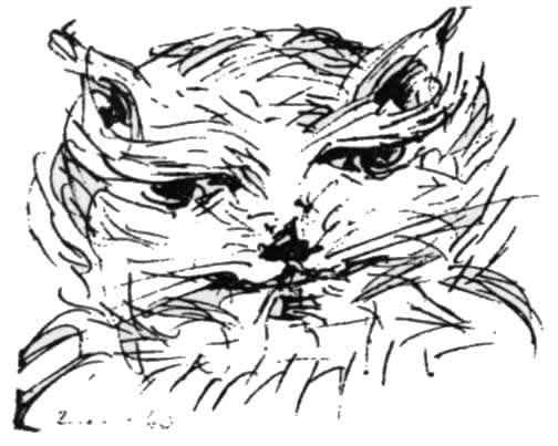 Guidance - 0121-1.jpg