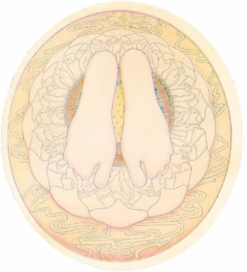 The Mother's Holy Feet - 5