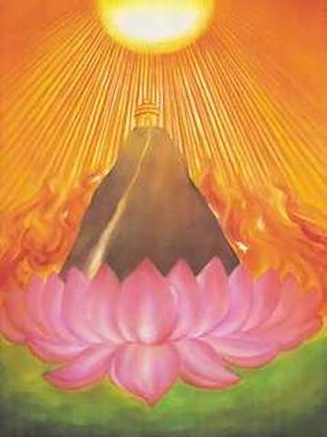 The Sun and the Flower