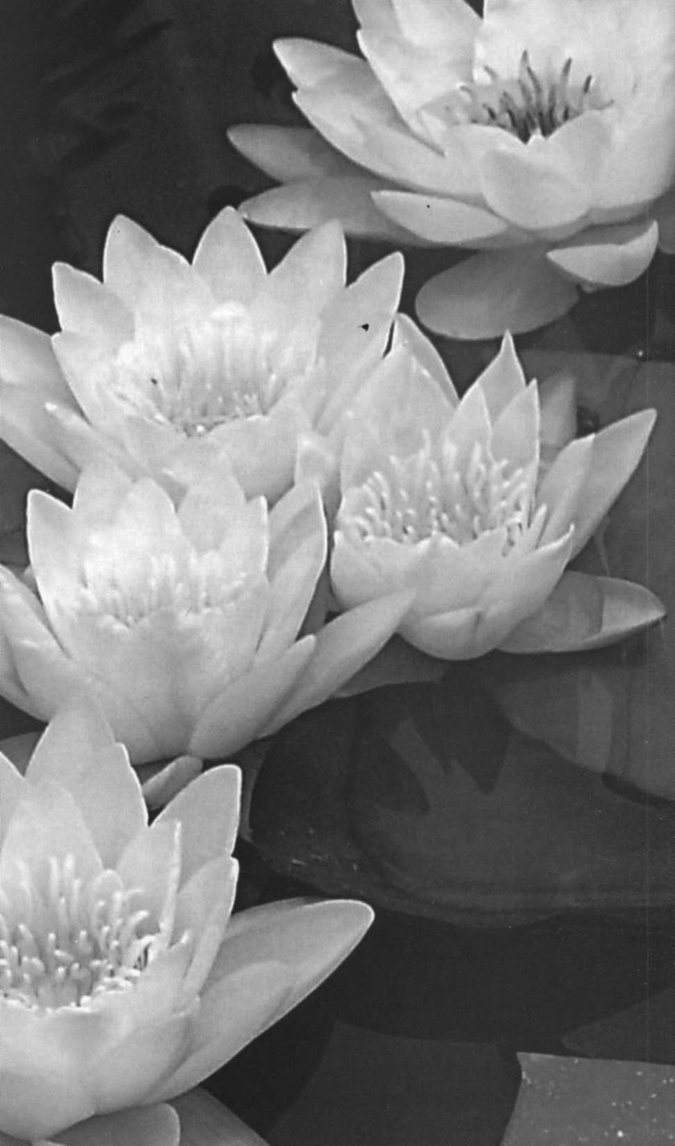 Indian Culture Past,Present and Future - 0010-1.jpg