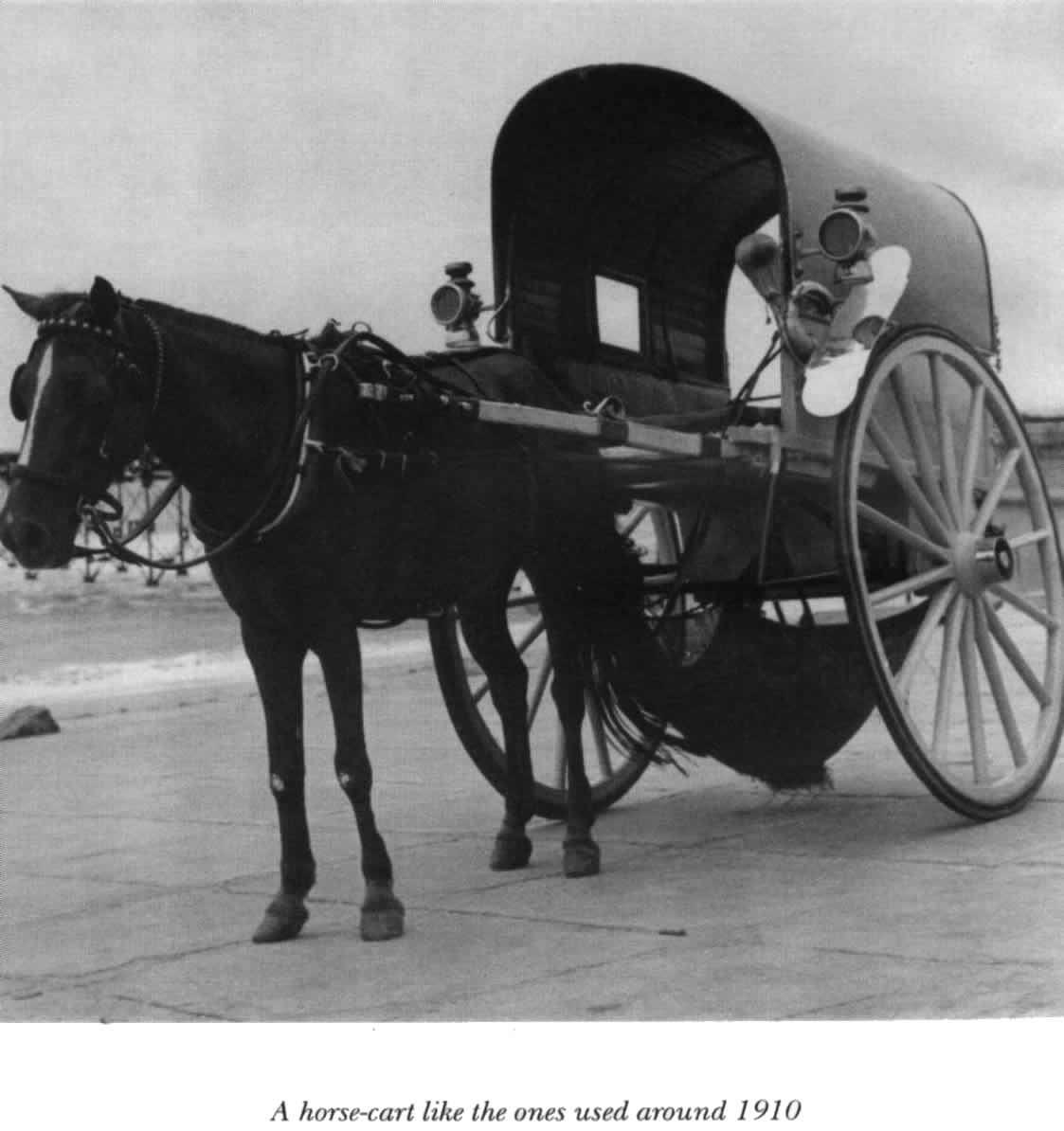 Prologue 3 - 0008-1.jpg