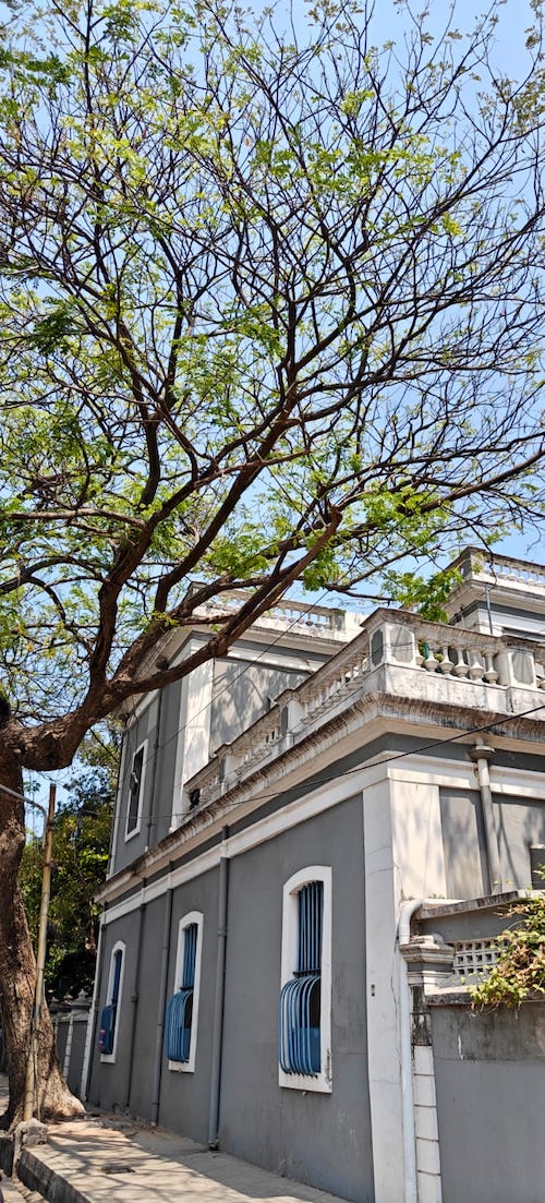 View of the street on which Nanteuil stands
