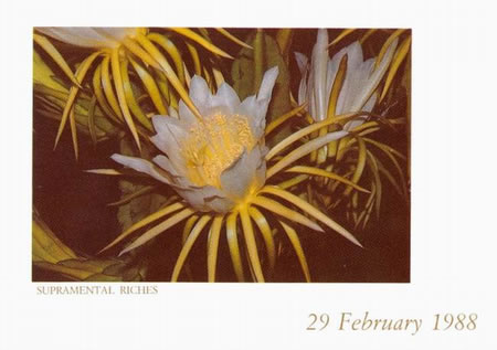 Darshan Message of 29 Februray 1988