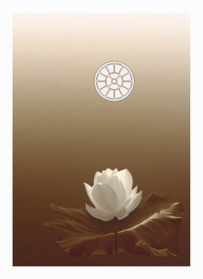 Darshan Message of 24 April 2011