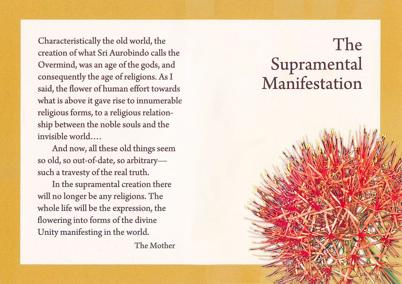 Darshan Message of 29 Februray 2012