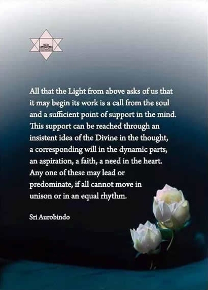 Darshan Message of 24 November 2013