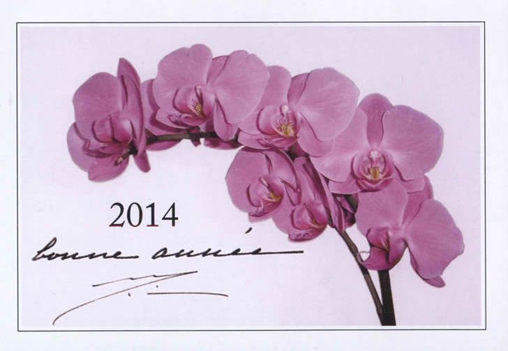 Darshan Message of 1 January 2014