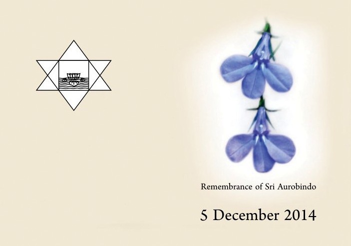 Darshan Message of 5 December 2014