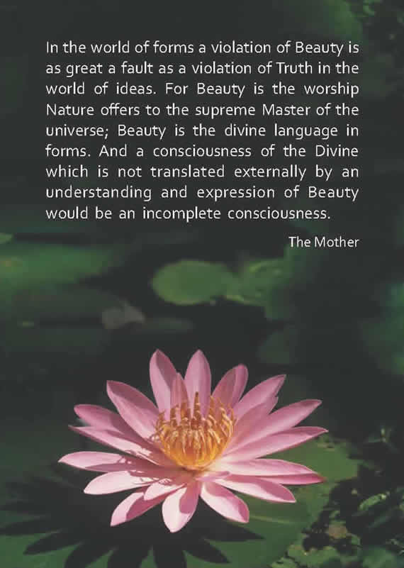 Darshan Message of 1 January 2015