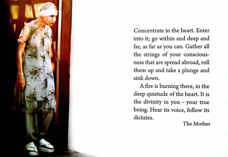 Darshan Message of 21 February 2016