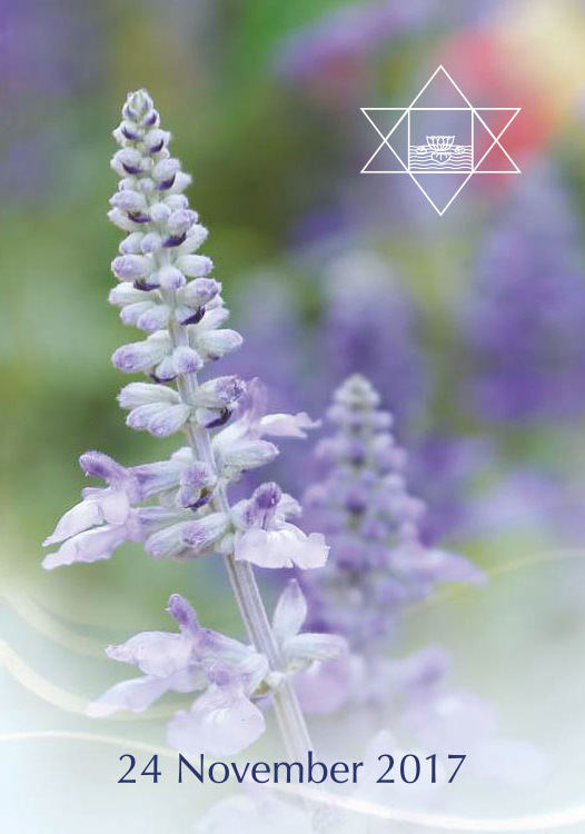 Darshan Message of 24 November 2017