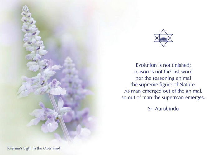 Darshan Message of 24 November 2017