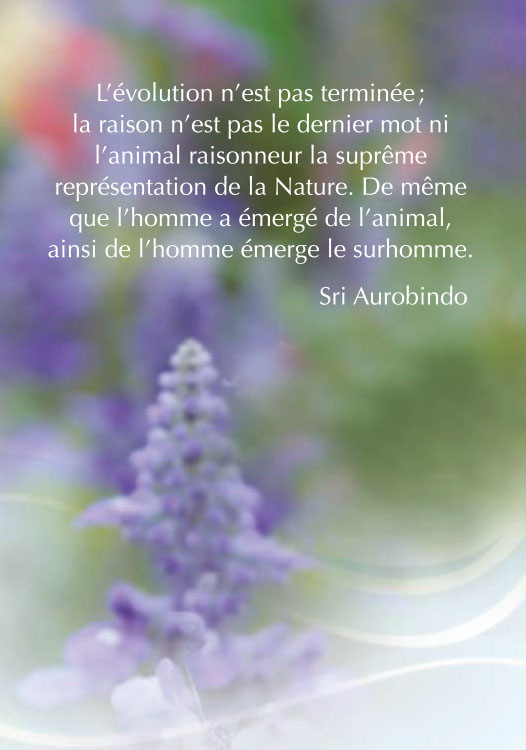 Darshan Message of 24 November 2017