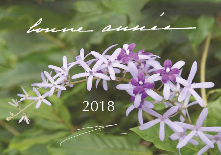 Darshan Message of 1 January 2018