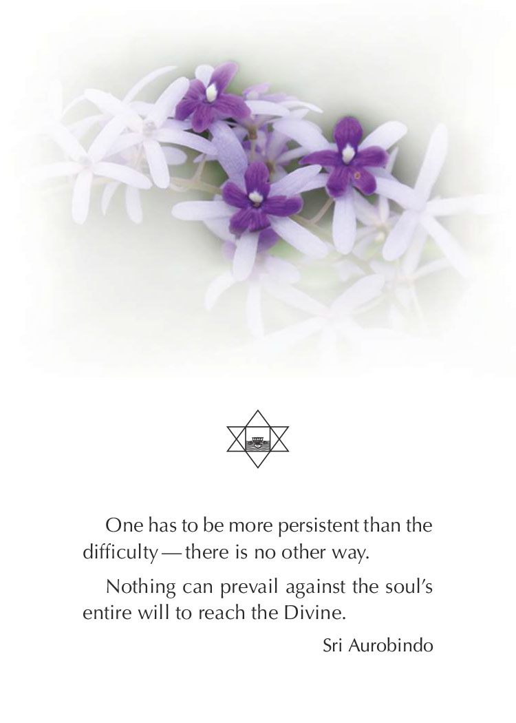 Darshan Message of 1 January 2018