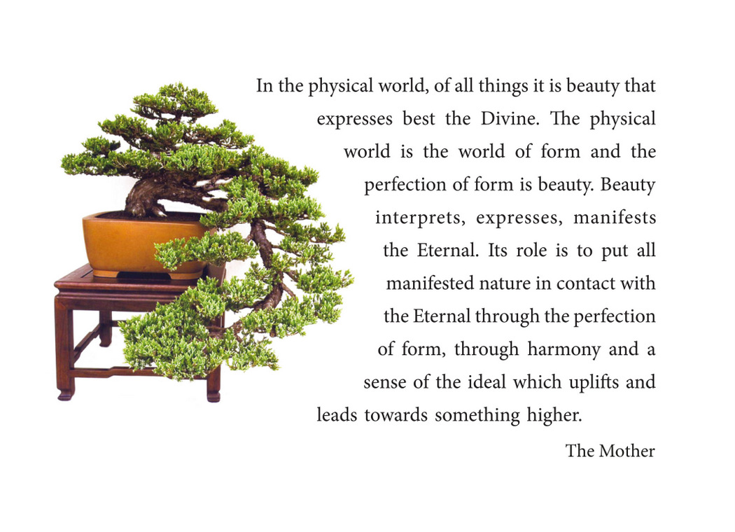 Darshan Message of 24 April 2019