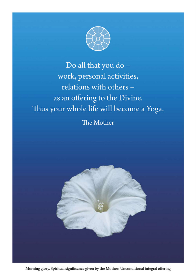 Darshan Message of 1 January 2020