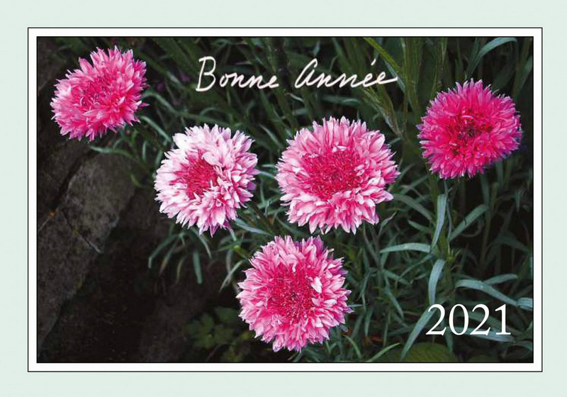 Darshan Message of 1 January 2021